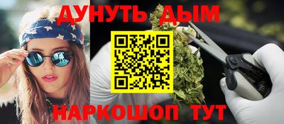 индика Можга