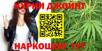 индика Можга