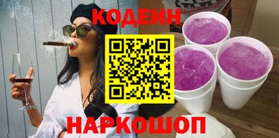 индика Можга