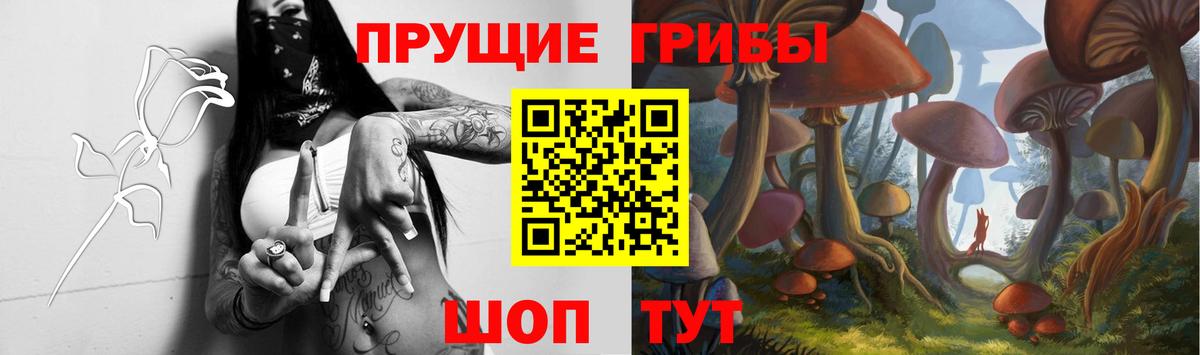 Галлюциногенные грибы Magic Shrooms  Вход с VPN  цены наркотик  Псилоцибиновые грибы Magic Shrooms  Владикавказ 